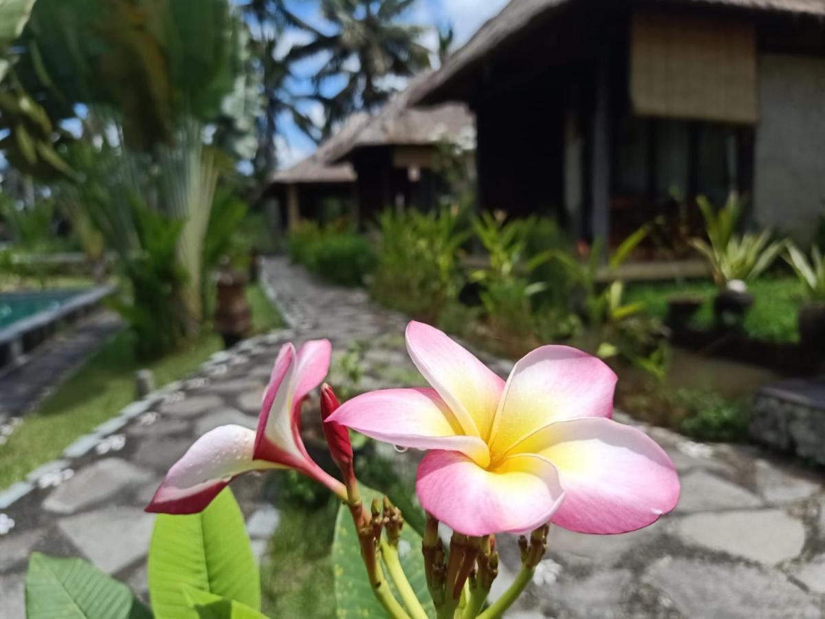 Taman Bintang Villa Ubud Extérieur photo