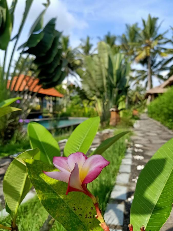 Taman Bintang Villa Ubud Extérieur photo