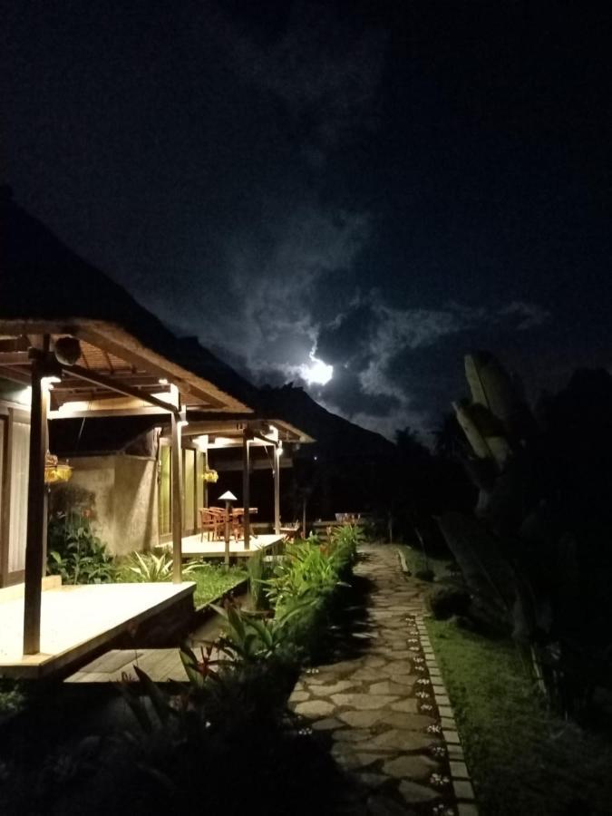 Taman Bintang Villa Ubud Extérieur photo