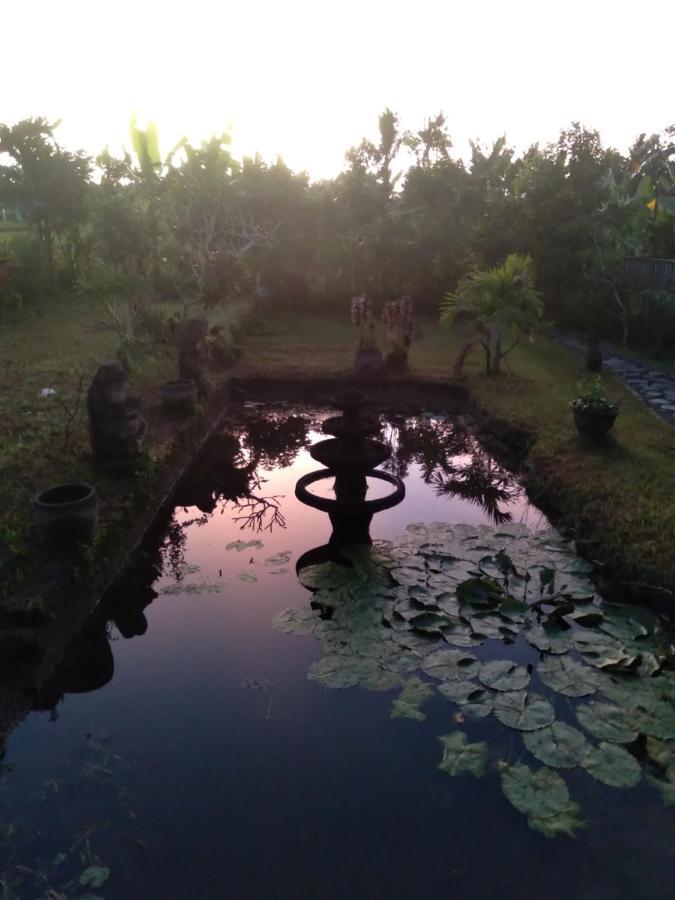 Taman Bintang Villa Ubud Extérieur photo