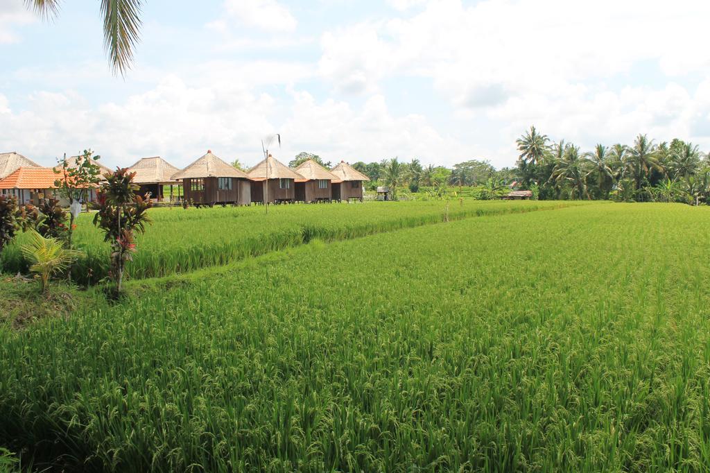 Taman Bintang Villa Ubud Extérieur photo
